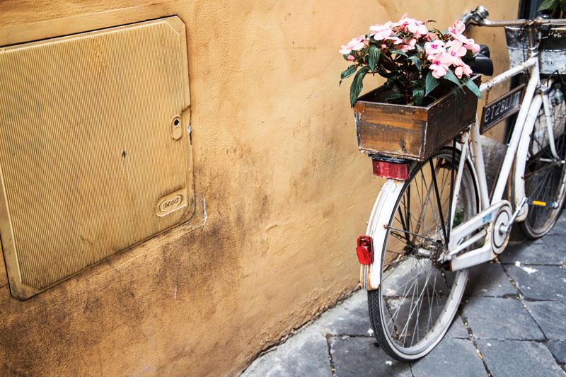 bike